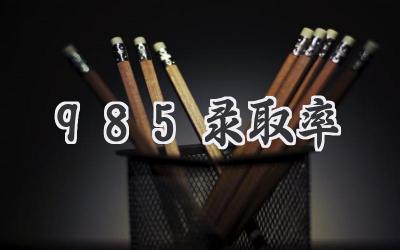 985录取率