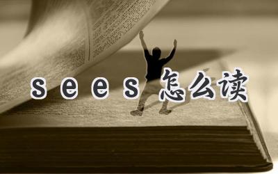 sees怎么读