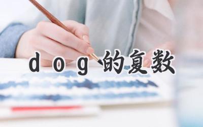 dog的复数