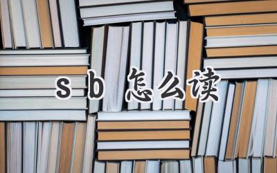 sb怎么读