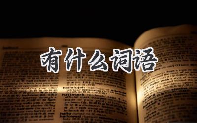 有什么词语