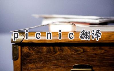 picnic翻译