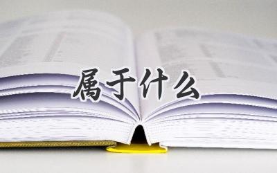 属于什么