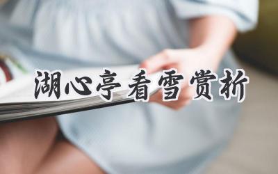 湖心亭看雪赏析