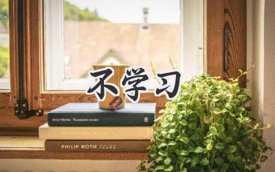 不学习
