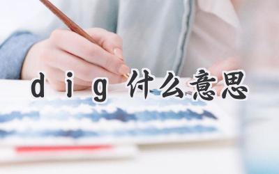 dig什么意思