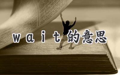 wait的意思