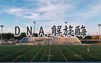 DNA解旋酶