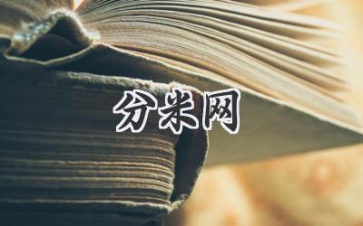 分米网