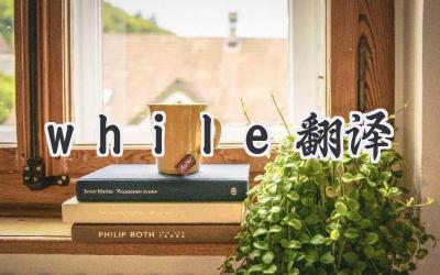 while翻译