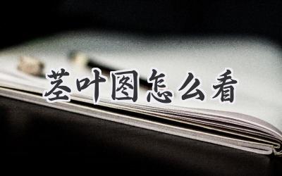 茎叶图怎么看
