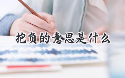 抱负的意思是什么