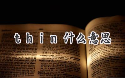 thin什么意思
