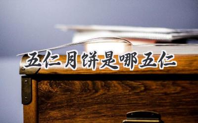 五仁月饼是哪五仁