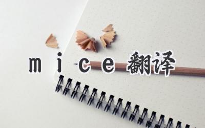 mice翻译