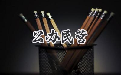 公办民营
