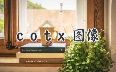 cotx图像