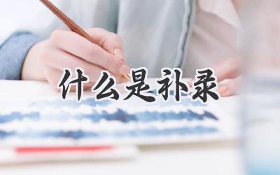 什么是补录