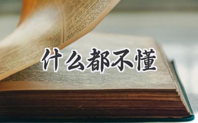 什么都不懂