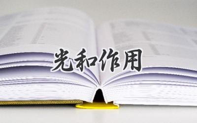 光和作用