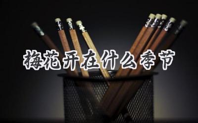梅花开在什么季节