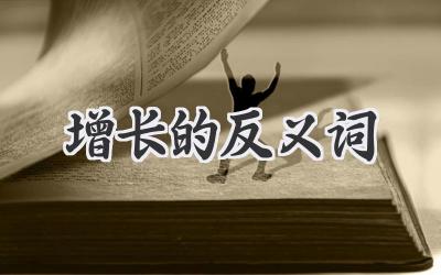 增长的反义词