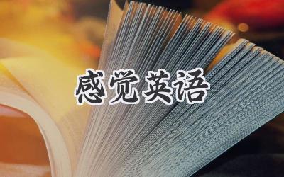感觉英语