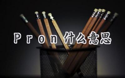 Pron什么意思