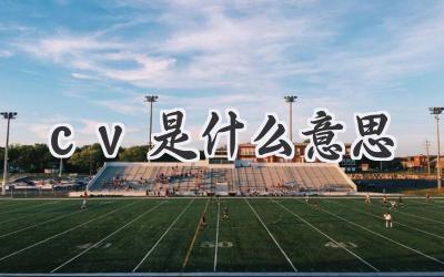 cv是什么意思