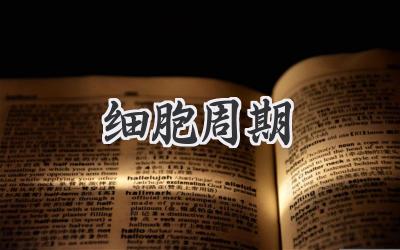 细胞周期