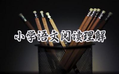 小学语文阅读理解