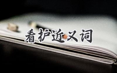 看护近义词