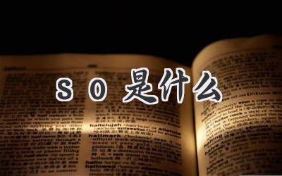 so是什么