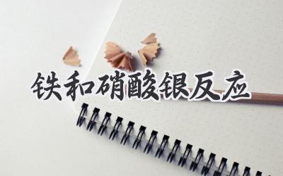 铁和硝酸银反应