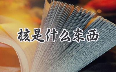 核是什么东西