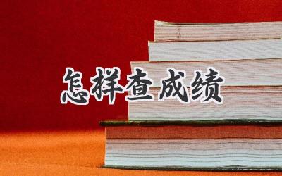 怎样查成绩