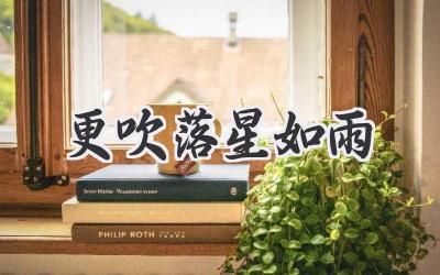 更吹落星如雨