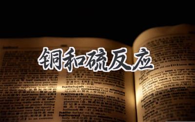 铜和硫反应