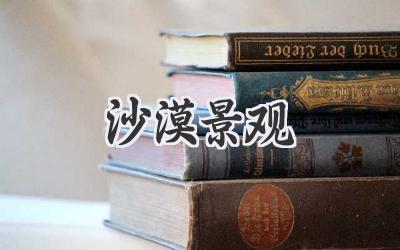 沙漠景观