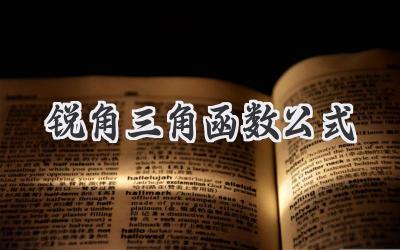 锐角三角函数公式