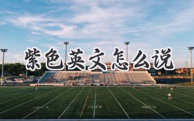紫色英文怎么说