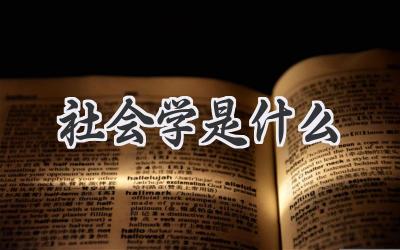 社会学是什么