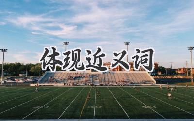 体现近义词
