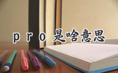 pro是啥意思