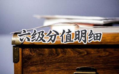 六级分值明细