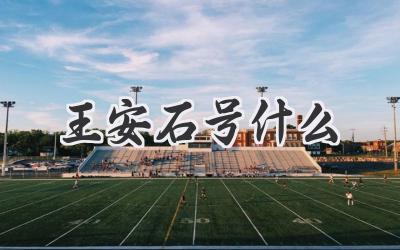王安石号什么