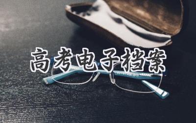 高考电子档案