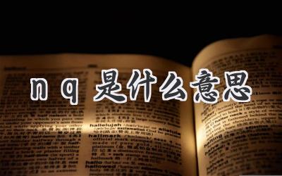 nq是什么意思