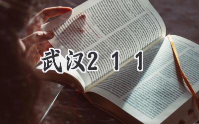 武汉211