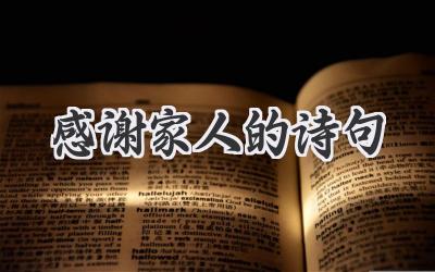 感谢家人的诗句